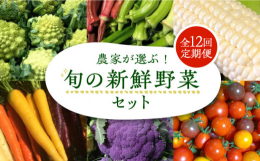※こちらは全12回お届けの定期便商品です。田村農産では、年間通して約60種類の野菜を栽培しております。時には、市場では見たこともない珍しい野菜などもございます。旬の新鮮野菜をご家庭でぜひお試しください