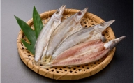 かます開き3～4尾 / カマス 国産 干物 白身 冷凍 新鮮 魚 お取り寄せ 和歌山県 田辺市