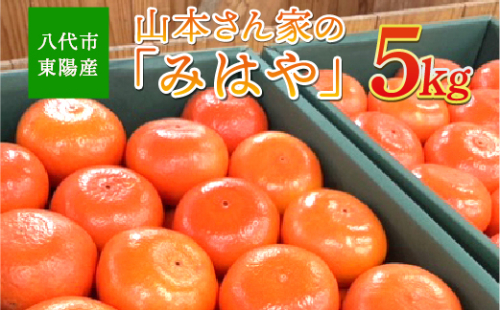 【先行予約】八代市東陽産 山本さん家の「みはや」5kg【2025年12月上旬より順次発送】 986462 - 熊本県八代市