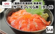 【刺身用】海鮮丼の具 サーモンいくら 60g（タレ付）× 5人前 【最新の冷凍技術】[B-11018]