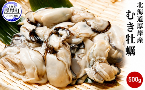 カキ 生食 厚岸産 むき牡蠣 500g 【馬場商店】[ 北海道 牡蠣 かき ブランド牡蠣 生食用 生牡蠣 魚貝類 剥き牡蠣 ]  987299 - 北海道厚岸町