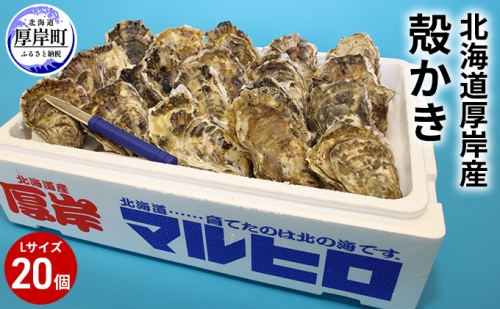 厚岸産 殻かき L20個セット 北海道 牡蠣 カキ かき  生牡蠣 殻付 987300 - 北海道厚岸町