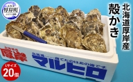 厚岸産 殻かき L20個セット 北海道 牡蠣 カキ かき  生牡蠣 殻付