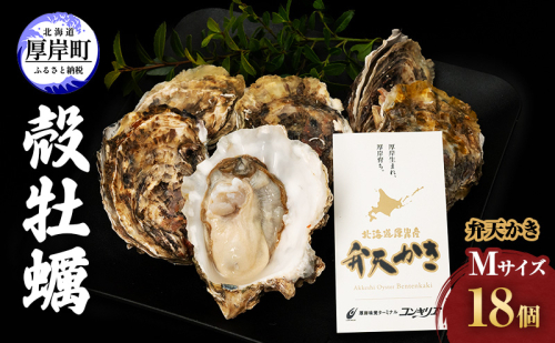 厚岸町 新ブランド『 弁天かき 』 Mサイズ 18個  北海道 牡蠣 カキ かき 生食 生食用 生牡蠣 987324 - 北海道厚岸町