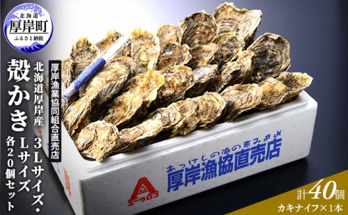 厚岸産 殻かき 3L 20個・L 20個セット (合計40個) 北海道 牡蠣 カキ かき 生食  987333 - 北海道厚岸町