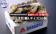 定期便 6ヶ月 北海道 厚岸産 牡蠣 Lサイズ 20個 (各回20個×6ヶ月分,合計120個) 殻付き 生食 カキナイフ付き かき カキ
