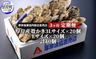 定期便 3ヶ月 北海道 厚岸産 牡蠣 3L 20個 と L 20個 ひと月あたり40個お届け (各回40個×3ヶ月分,合計120個) 殻付き 生食 かき カキ