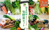 【3ヶ月定期便】おまかせ旬野菜セット 旬 野菜 セット 北海道 北広島市