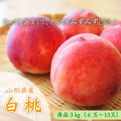 山形市産 白桃 [柔らかくなる桃] 秀品 約3kg (6玉～13玉)【令和8年産先行予約】FU23-573 987992 - 山形県山形市