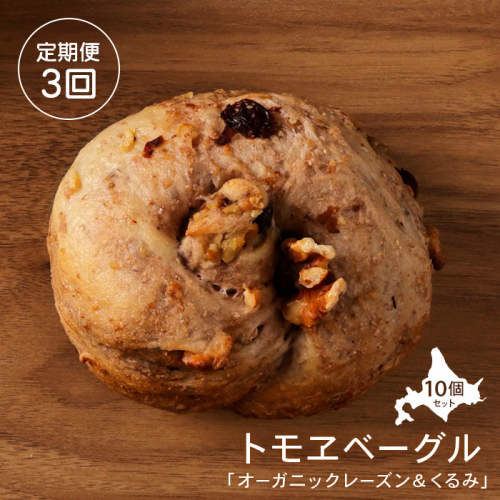 【定期便：全3回】トモヱベーグル 「オーガニックレーズン＆くるみ」１０個セット【33001101】 988355 - 北海道恵庭市