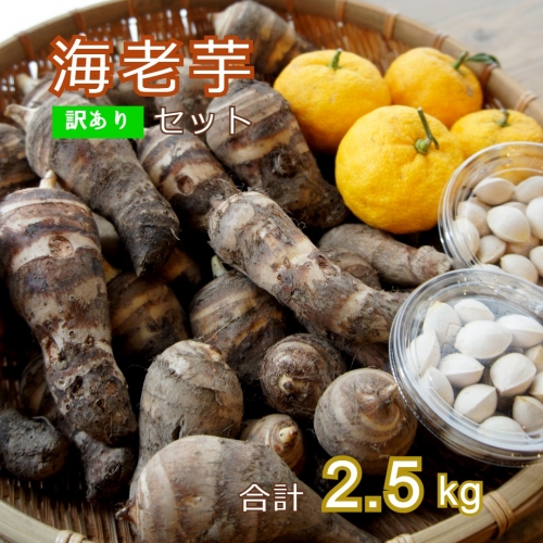 【ふるさと納税】【数量限定】京野菜 海老芋セット 約2.5kg エビ芋 ゆず 銀杏【訳あり】