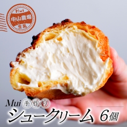 【ふるさと納税】【中山農場生乳】手作り シュークリーム 6個