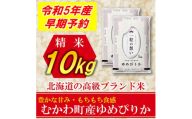＜発送月固定定期便＞◆令和5年産先行受付◆特A受賞!北海道むかわ町産ゆめぴりか 精米10kg全6回【4000566】