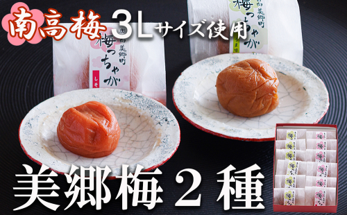 南高梅 梅干し 美郷梅 一粒入り うま味昆布 & シソ風味 各6粒 3Lサイズ A級品 化粧箱入り [農林産物直売所 美郷ノ蔵 宮崎県 美郷町 31ab0101] 国産 セット 詰め合わせ 宮崎県産 美郷産 常温 送料無料 贈答品 父の日 母の日 プレゼント ギフト 989367 - 宮崎県美郷町