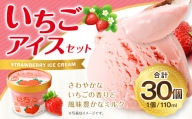 いちごアイス 110ml×30個セット いちご 苺 アイスクリーム スイーツ