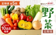 【定期便5回】 野菜 定期便 10品程度 熊本県 菊池市産  やさい 【メロンドーム】