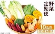 【定期便年3回】 旬の野菜 10品 セット やさい 野菜 詰め合わせ  詰合せ 定期便【養生市場】