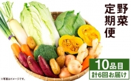 【定期便年6回】旬の野菜 10品 野菜 やさい 詰合せ 詰め合わせ セット 定期便 【養生市場】