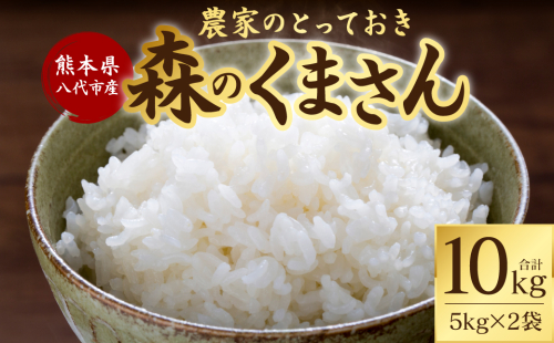 【先行予約】 【令和7年産】 熊本県八代市産 森のくまさん 農家のとっておき 5kg×2袋 米 お米 精米  国産 白米 ごはん ご飯 【2025年10月下旬より順次発送】 991315 - 熊本県八代市