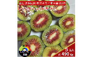 【 先行予約 】 キウイ フルーツ レインボーレッド 約490g （5玉） 希少な赤い果肉の極甘キウイ 山口 阿武町産 フルーツ 果物 デザート【 数量限定 】2025年10月20日頃～12月20日頃発送予定