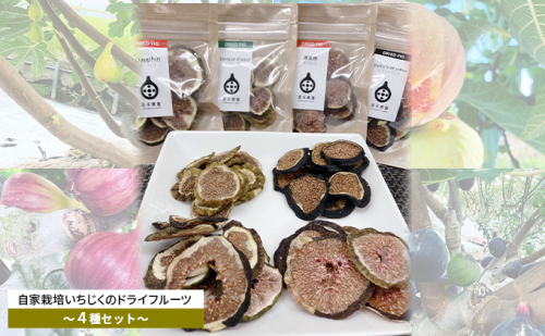 自家栽培いちじくのドライフルーツ～食べ比べ４種セット～ 加工食品 乾燥いちじく ドーフィン バナーネ 蓬莱柿 ビオレソリエス 乾燥フルーツ  992035 - 奈良県大和郡山市