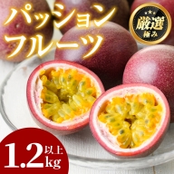 【1005301a】ゆきちゃん農園のパッションフルーツ(1.2kg以上)フルーツ 果物 果実 1キロ 期間限定【ゆきちゃん農園】