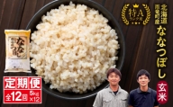 定期便 北海道産 ななつぼし 玄米 定期便 5kg 12回 特A 雨竜町 お米 米 厳選 人気