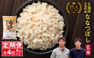 定期便 北海道産 ななつぼし 玄米 定期便 5kg 4回 特A 雨竜町 お米 米 厳選 人気