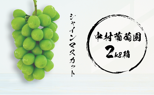 中村葡萄園 シャインマスカット 2kg箱 人気 おすすめ 国産 贈答 ギフト お取り寄せ 山梨県産 産地直送 フルーツ 果物 くだもの ぶどう ブドウ  葡萄 シャイン シャインマスカット 新鮮 N-5 992479 - 山梨県甲斐市 | au PAY ふるさと納税