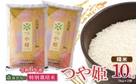 【令和5年産】 斎藤農場の特別栽培米 つや姫 10kg（5kg×2） A65-002
