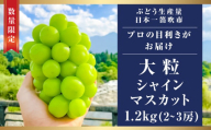【2025年発送】　高級ぶどう シャインマスカット 1.2kg（2～3房入り）　103-001　ふるさと納税 シャインマスカット 大粒 笛吹市  国産 人気 期間限定  ぶどう ブドウ 葡萄 贈り物 ギフト プレゼント 旬 果物 フルーツ 山梨県 送料無料