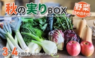 【sugaya farm】秋の実りBOX（３〜４人様向け）
