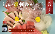 [9月配送開始][配送地域限定] 産地直送 氷見漁港 朝どれ鮮魚お刺身セット定期便3ヶ月連続配達指定なし