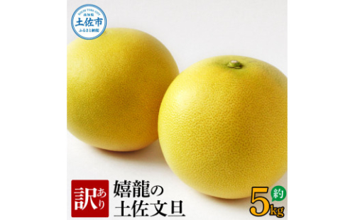 ＜2026年1月下旬より順次発送＞訳あり 嬉龍の土佐文旦 約5キロ L - ４Lサイズ 文旦 ぶんたん ブンタン 柑橘 フルーツ 果物 わけあり わけアリ 傷 シミ 美味しい 高知県産 992842 - 高知県土佐市