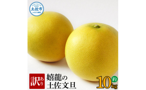 ＜2026年1月下旬より順次発送＞訳あり 嬉龍の土佐文旦 約10キロ L - ４Lサイズ 文旦 ぶんたん ブンタン 柑橘 フルーツ 果物 わけあり わけアリ 傷 シミ 美味しい 高知県産 992843 - 高知県土佐市