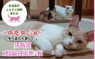 ＜保護猫応援＞湯村温泉の猫カフェ　猫時間の1時間利用券(ワンドリンク付き)2枚【1422388】