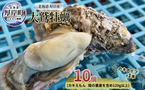 北海道 厚岸産 大鷲牡蠣 10個 994050 - 北海道厚岸町
