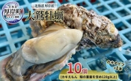 北海道 厚岸産 大鷲牡蠣 10個 カキ 牡蠣 殻牡蠣