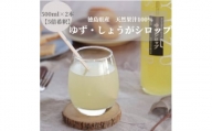 徳島県産果汁たっぷり　ゆず・しょうがシロップ(500ml)2本セット＜5倍希釈＞【1209848】