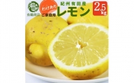 【ご家庭用訳あり】 紀州有田産レモン 2.5kg【2025年3月上旬以降発送】【先行予約】【UT46】