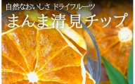 ドライフルーツ きよみチップ 100g ( 20g × 5袋 ) 和歌山県産 果物使用 自社製造 【みかんの会】
