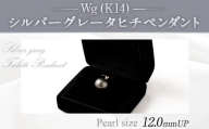 Wg(K14)シルバーグレータヒチペンダント 真珠 ペンダント アクセサリー 装飾品 福岡県 嘉麻市