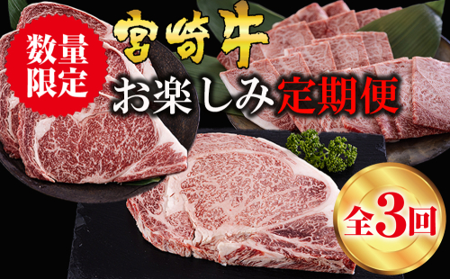 3回 定期便 宮崎牛 ロースステーキ 600g 肩焼肉 400g ワンポンドステーキ 454g [日本ハムマーケティング 宮崎県 美郷町 31bd0023] 冷凍 送料無料 国産 黒毛和牛 A5 A4等級 ブランド 牛 肉 霜降り バーベキュー キャンプ BBQ 宮崎県産 母の日 父の日 プレゼント ギフト 贈り物 3ヶ月 セット 994501 - 宮崎県美郷町