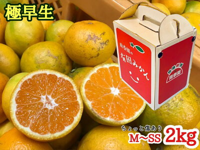 ちょっと傷あり【極早生・有田みかん】M～SSサイズ約2kg_ZF6304n 994502 - 和歌山県湯浅町