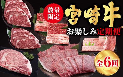 6回 定期便 宮崎牛 ロースステーキ 肩焼肉 ワンポンドステーキ もも バラ すき焼き 肩ロース 約3kg [日本ハムマーケティング 宮崎県 美郷町 31bd0024] 冷凍 送料無料 国産 黒毛和牛 A5 A4等級 ブランド 牛肉 霜降り バーベキュー キャンプ BBQ 宮崎県産 母の日 父の日 プレゼント ギフト 贈り物 6ヶ月 セット 994503 - 宮崎県美郷町