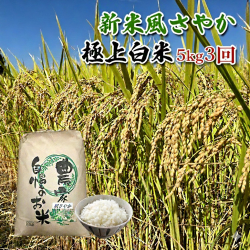 【定期便/農家直送】長野県産「風さやか」（5kg×3回）【栄屋ファーム】 お米 3ヶ月 計15kg  99459 - 長野県駒ヶ根市