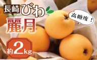 [先行予約][4月下旬〜発送]長崎びわ 麗月 約2kg フルーツ 枇杷 ビワ 長崎市/フルーツいわなが 