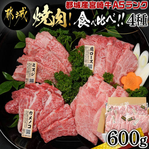 ≪A5ランク≫都城産宮崎牛食べ比べ焼肉4種セット(真空)_AC-I501 995340 - 宮崎県都城市