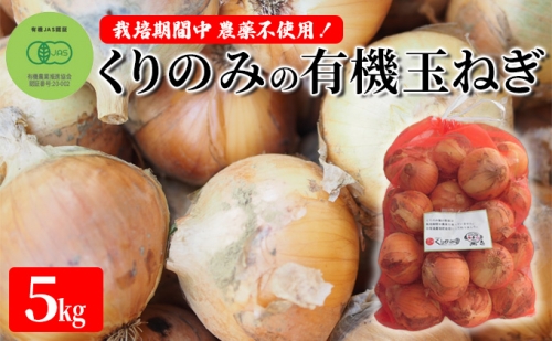 栽培期間中農薬不使用！くりのみの有機玉ねぎ5kg 995754 - 長野県長野市