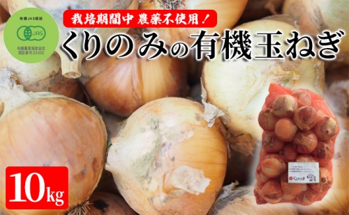 栽培期間中農薬不使用！くりのみの有機玉ねぎ10kg 995755 - 長野県長野市